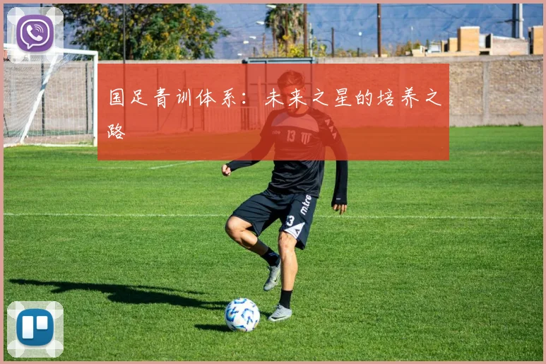 国足青训体系：未来之星的培养之路
