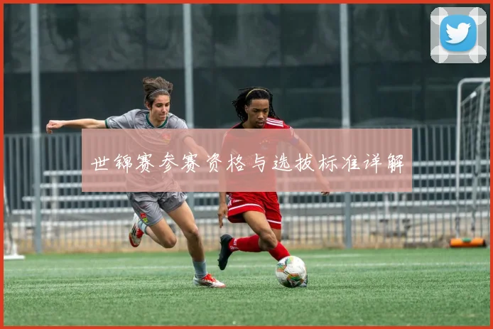 世锦赛参赛资格与选拔标准详解